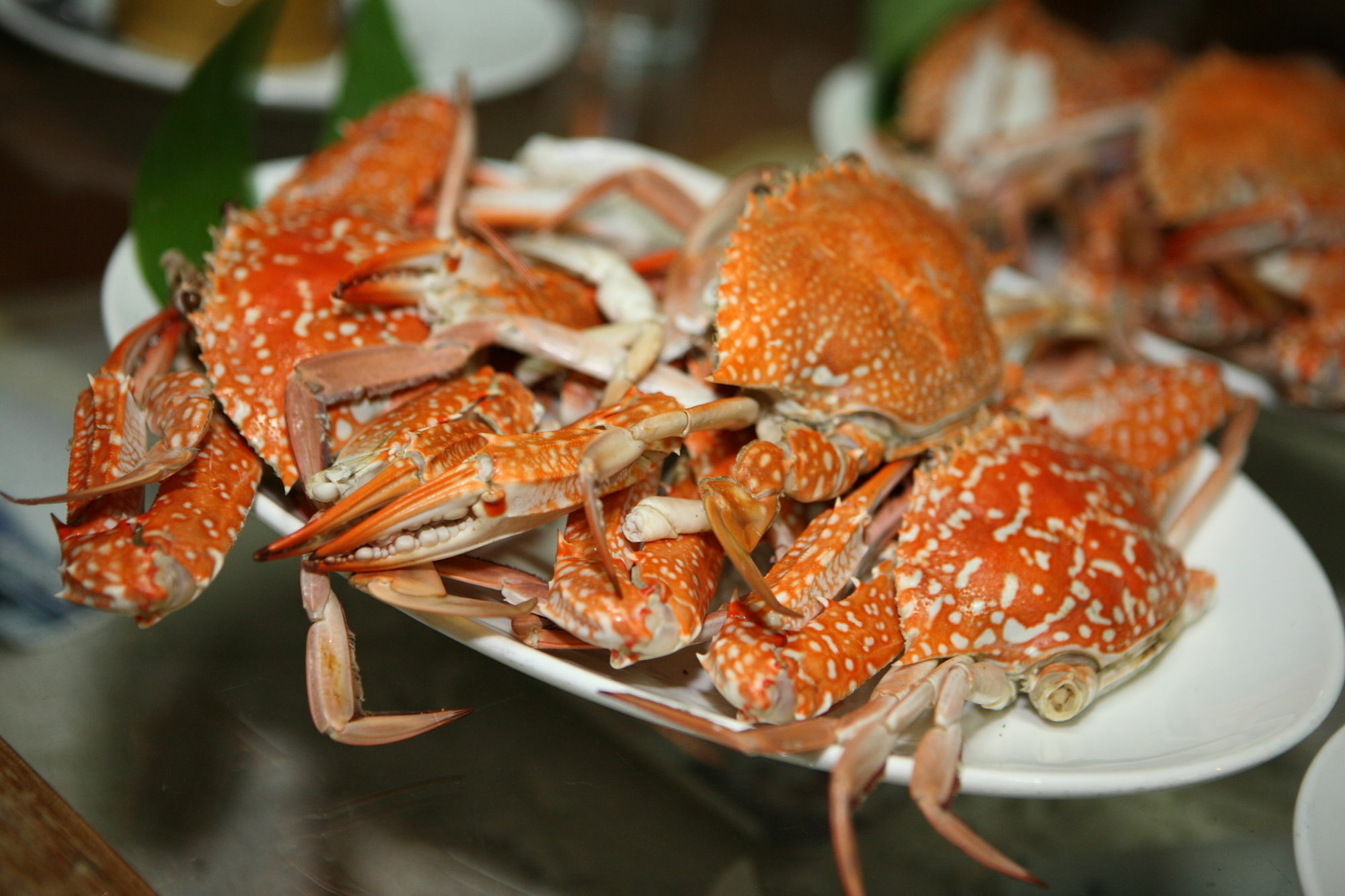 Salakphet Resort Koh Chang Bagian luar foto